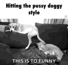 doggy porn gif|Doggystyle NSFW GIFS